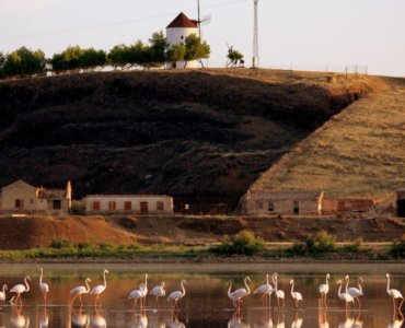 Laguna con flamencos - Almodóvar del Campo Laguna con flamencos - Almodóvar del Campo