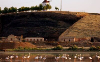Los 5 lugares que no te puedes perder del Parque Natural de El Valle de Alcudia